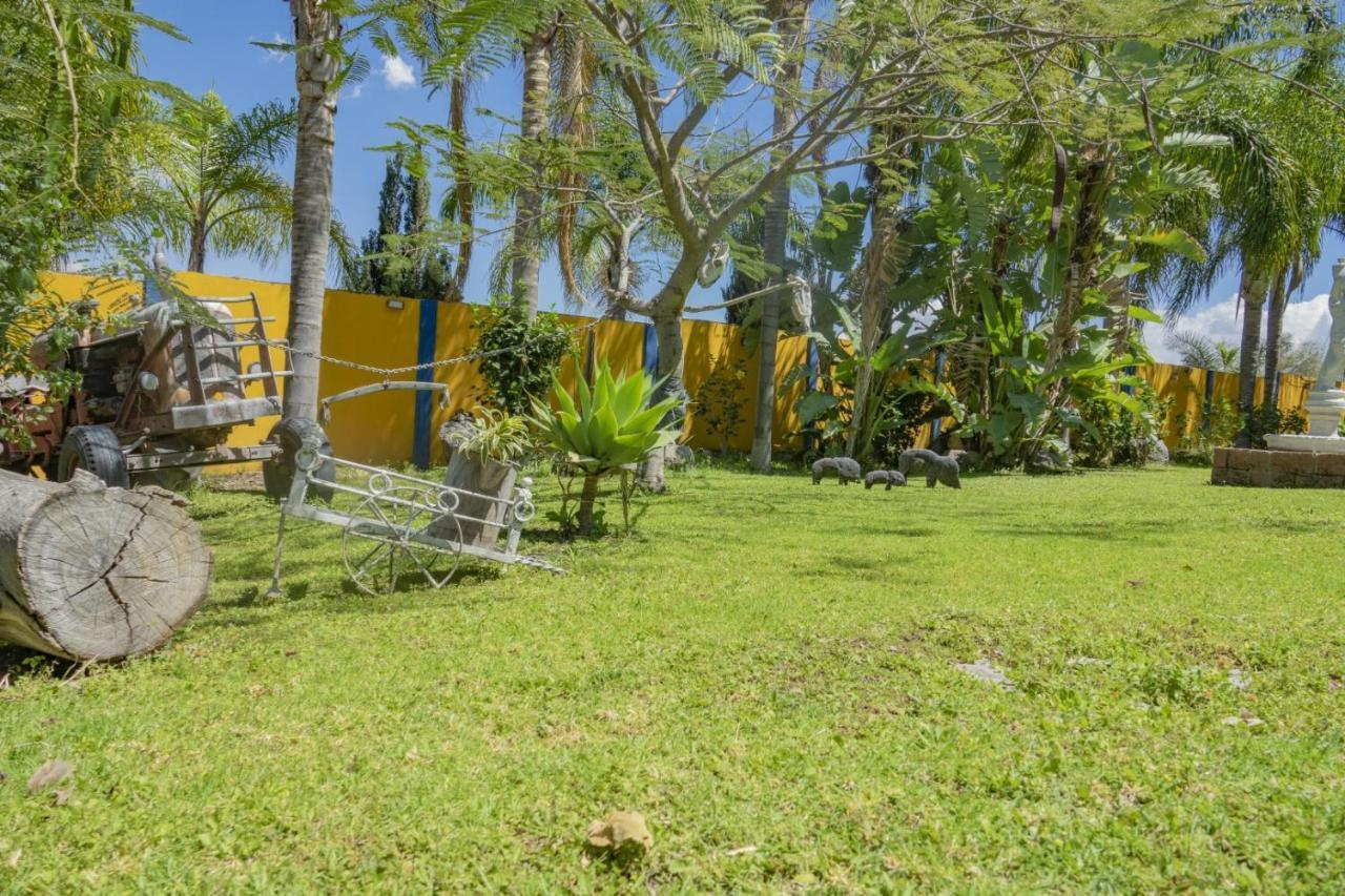 Hotel & Bungalows Las Palmas Villa Corona 외부 사진